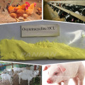 Китайский производитель антибиотик окситетрациклин HCL порошок голубя, лекарства для кошек